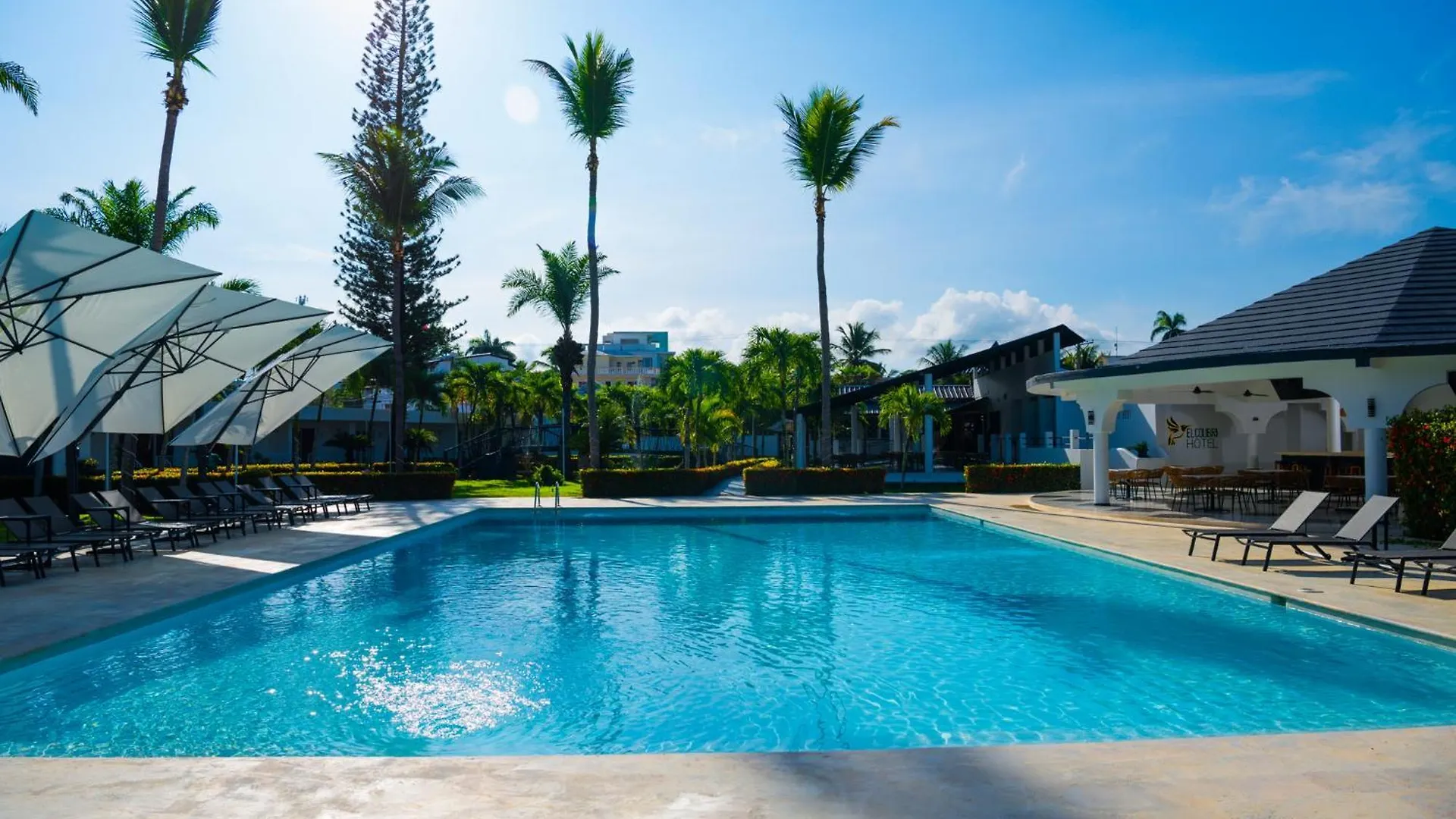 El Colibri Hotel contacts